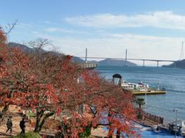 창원시 가을 단풍 명소 ‘돝섬’ 으로 오세요 기사 이미지