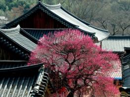 전남도, 국내외 단체관광객 유치 협력여행사 30일까지 모집 기사 이미지