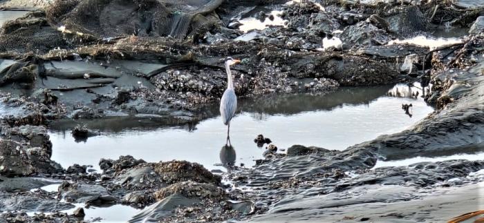 석모도호텔 앞 바다 사진 성수목기자