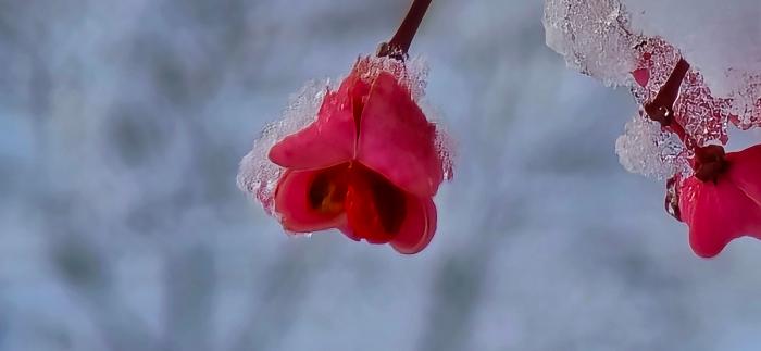 석모도 수목원 성수목기자 촬영