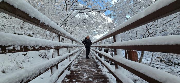석모도 수목원 성수목기자 촬영
