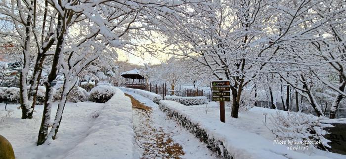석모도 수목원 성수목기자 촬영