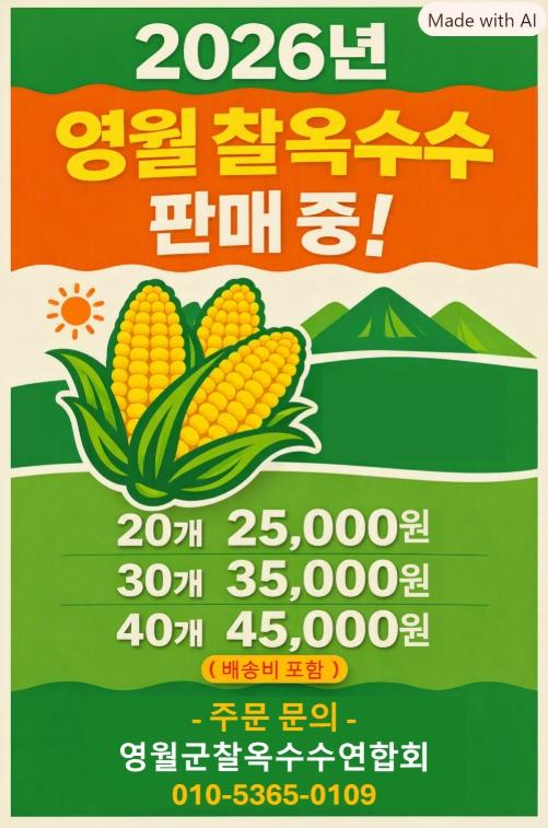 영월군찰옥수수연합회 전국에서 구매 가능
